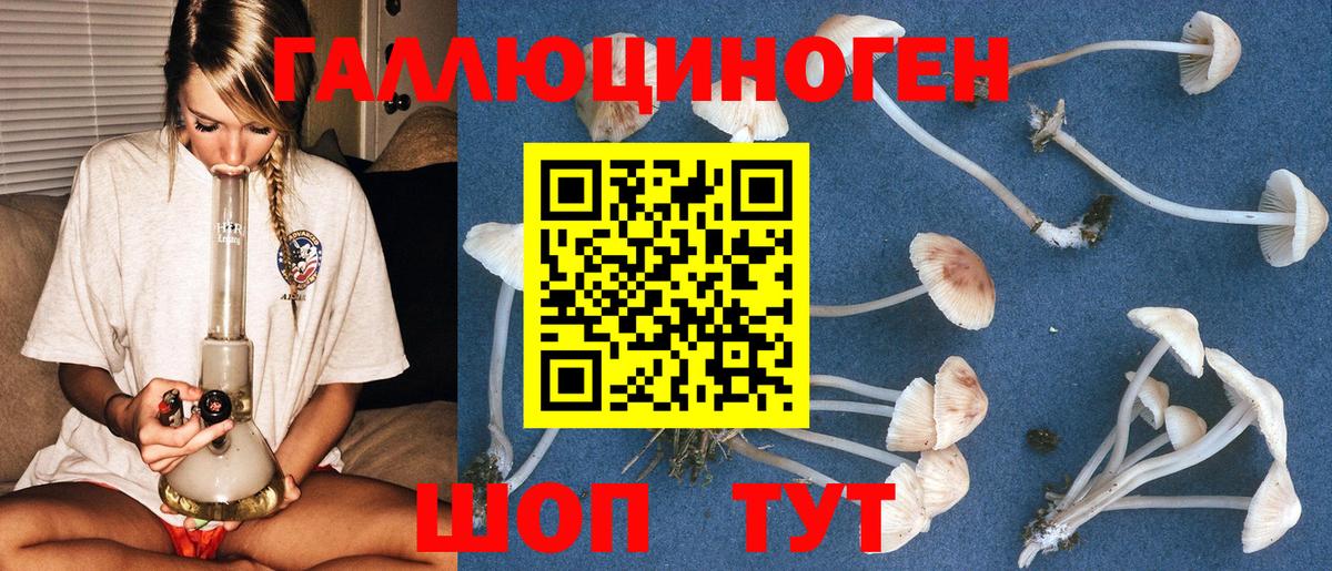 Псилоцибиновые грибы GOLDEN TEACHER Чехов
