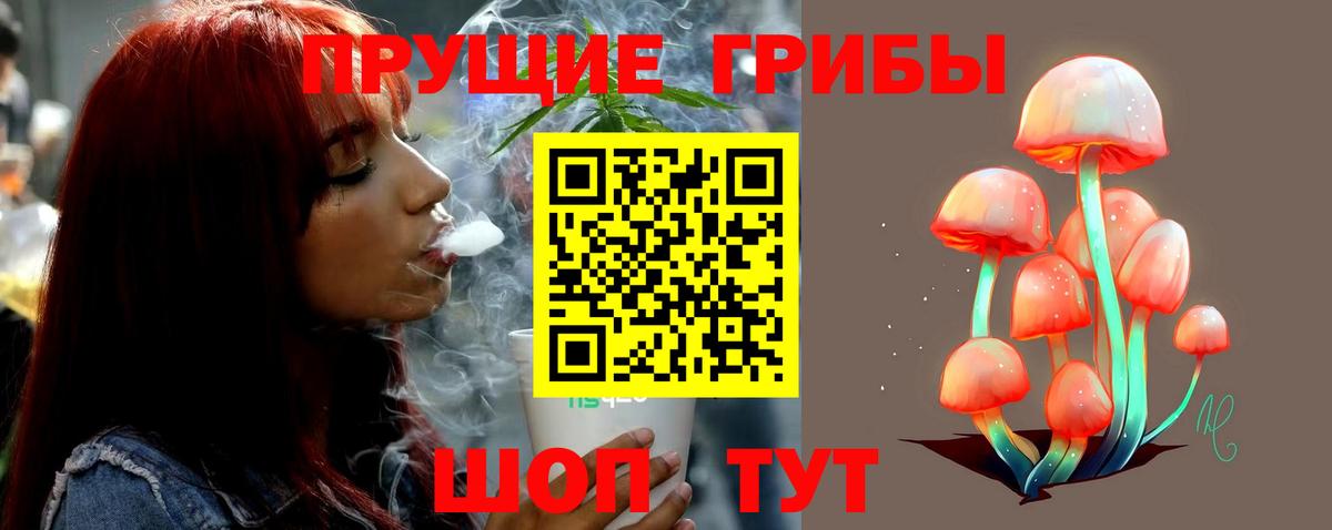 Чехов  Галлюциногенные грибы Psilocybe  Вход с VPN  Псилоцибиновые грибы Psilocybe 